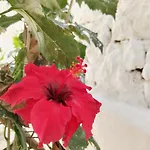 Apartament Kostas Vasiliki