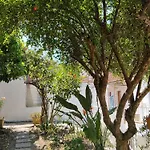 Kostas Vasiliki