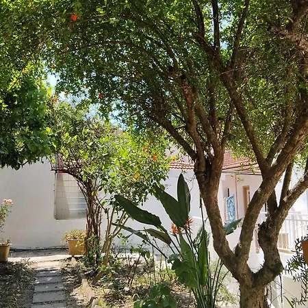Kostas Vasiliki