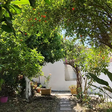 Kostas